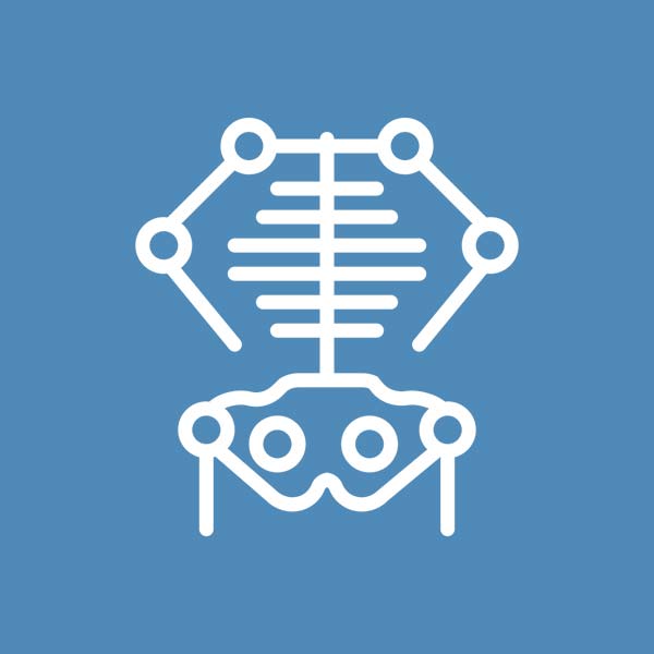 skeleton